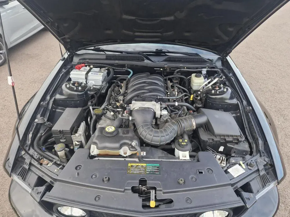 FORD MUSTANG V 4.6 V8 300CV GT PREMIUM BVM5 (12)