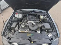 FORD MUSTANG V 4.6 V8 300CV GT PREMIUM BVM5 (12)